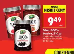 Biedronka Dżem 100% Łowicz malina oferta