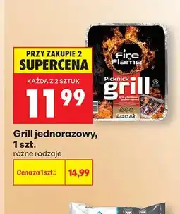 Biedronka Grill jednorazowy Fire Flame oferta