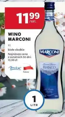 Stokrotka Market Wino Marconi oferta