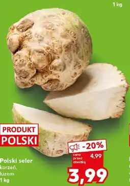 Kaufland Polski seler oferta