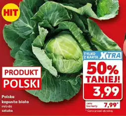 Kaufland Polska kapusta biała młoda oferta