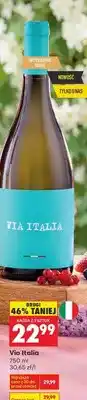 Biedronka Wino Via Italia wytrawne białe oferta