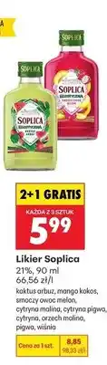 Biedronka Likier Soplica kaktus arbuz 21% oferta
