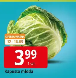 E.Leclerc Kapusta młoda oferta