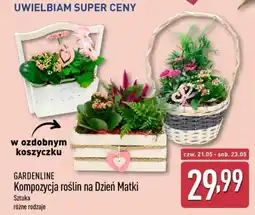 ALDI Gardenline Kompozycja roślin na Dzień Matki oferta