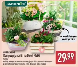 ALDI Gardenline Kompozycja roślin na Dzień Matki oferta