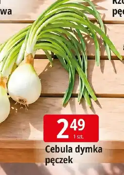 E.Leclerc Cebula dymka pęczek oferta