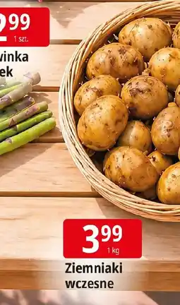 E.Leclerc Ziemniaki wczesne oferta