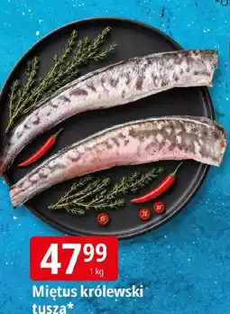 E.Leclerc Miętus królewski tusza oferta