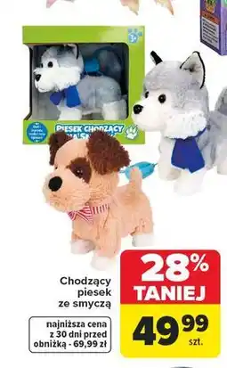 Carrefour Piesek chodzący ze smyczą oferta