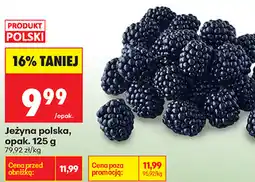 Biedronka Jeżyna polska oferta