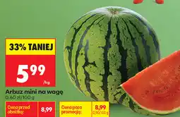 Biedronka Arbuz mini na wagę oferta