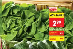 Biedronka Sałata masłowa oferta