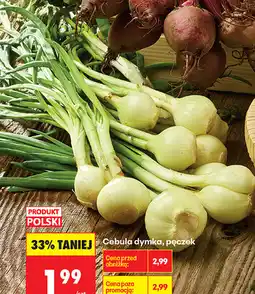 Biedronka Cebula dymka oferta