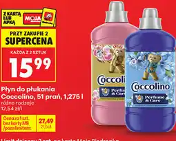 Biedronka Płyn do płukania Coccolino, 51 prań oferta
