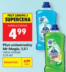 Biedronka Płyn uniwersalny Mr Magic oferta