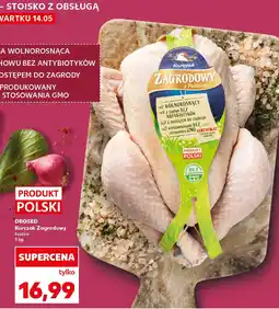 Kaufland Drosed Kurczak Zagrodowy oferta