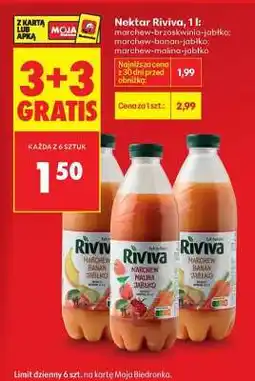 Biedronka Nektar Riviva, 1 l oferta