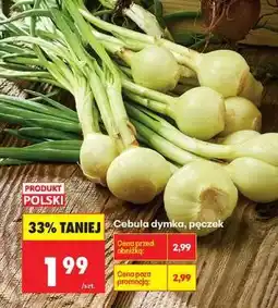 Biedronka Cebula dymka pęczek oferta