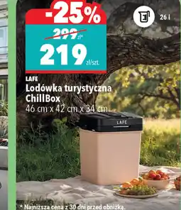 Biedronka Lafe Lodówka turystyczna ChillBox oferta