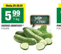 Spar Ogórek gruntowy polski oferta
