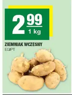 Spar Ziemniak wczesny Egipt oferta