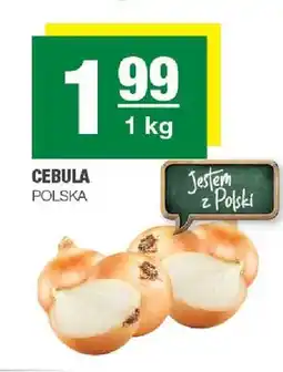 Spar Cebula Polska oferta