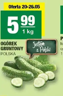 Spar Ogórek gruntowy Polska oferta