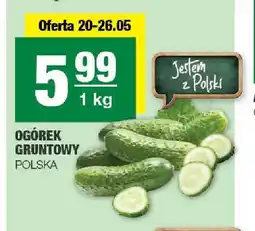 Spar Ogórek gruntowy Polska oferta
