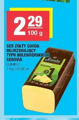 Spar Ser żółty Gouda dojrzewający typu holenderskiego Serovia Lumiko oferta