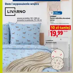 Lidl Koc LIVARNO oferta