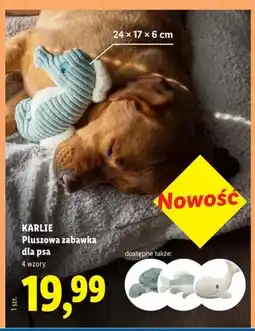 Lidl Pluszowa zabawka dla psa KARLIE oferta
