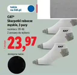Lidl Skarpetki robocze męskie CAT 3-pak oferta