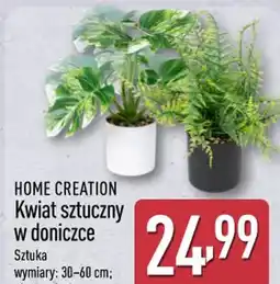 ALDI Home Creation Kwiat sztuczny w doniczce oferta