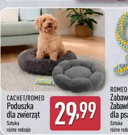 ALDI Cachet/Romeo Poduszka dla zwierząt oferta