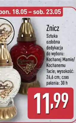 ALDI Znicz oferta
