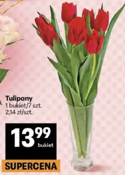 Delikatesy Centrum Tulipany oferta
