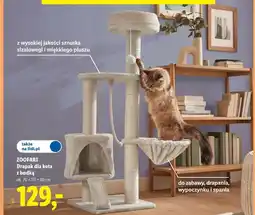 Lidl ZOOFARI Drapak dla kota z budką oferta