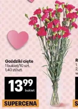 Delikatesy Centrum Goździki cięte oferta