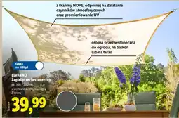 Lidl Żagiel przeciwsłoneczny oferta
