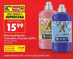 Biedronka Płyn do płukania Coccolino oferta