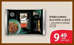 Selgros Sheba karma dla kota oferta