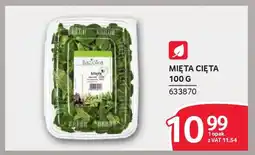 Selgros Mięta cięta oferta
