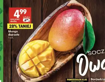 Delikatesy Centrum Mango dojrzałe oferta