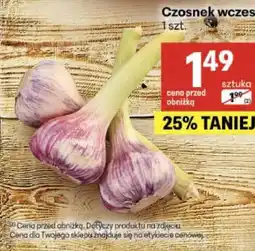 Delikatesy Centrum Czosnek wczesny oferta