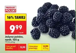 Biedronka Jeżyna polska, opak. 125 g oferta