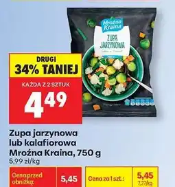 Biedronka Zupa jarzynowa lub kalafiorowa Mroźna Kraina , 750 g oferta