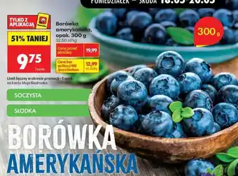 Biedronka Borówka amerykańska opak 300 g oferta