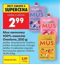 Biedronka Mus owocowy 100 owoców Owólovo 200 g oferta