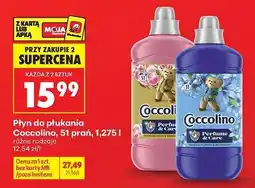 Biedronka COCCOLINO oferta